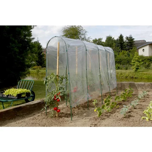 Tomato film coloris transparent 5x3,5 m