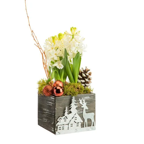 Composition florale de 3 jacinthe pot en bois et décoration en zinc coloris multicolore
