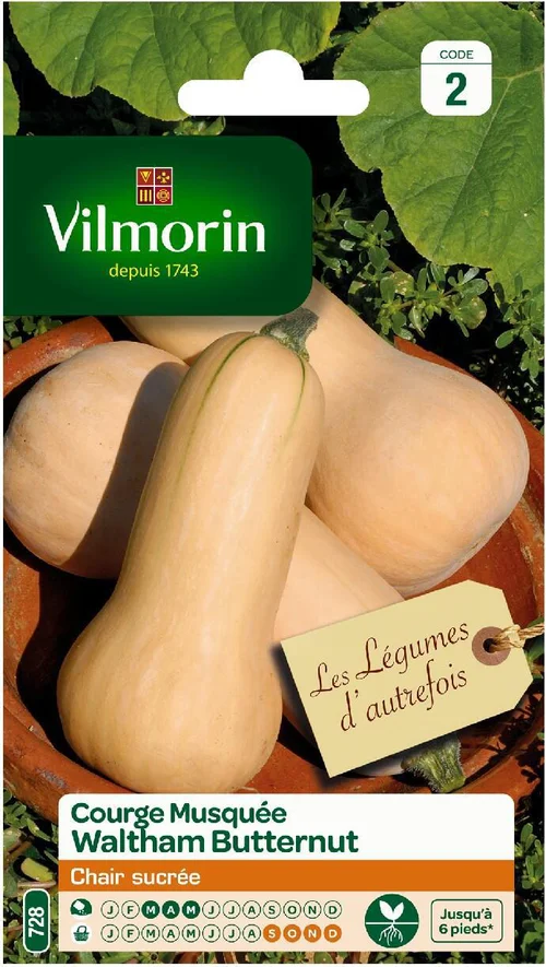 Courge Musquée Waltham Butternut Vilmorin - graines à semer