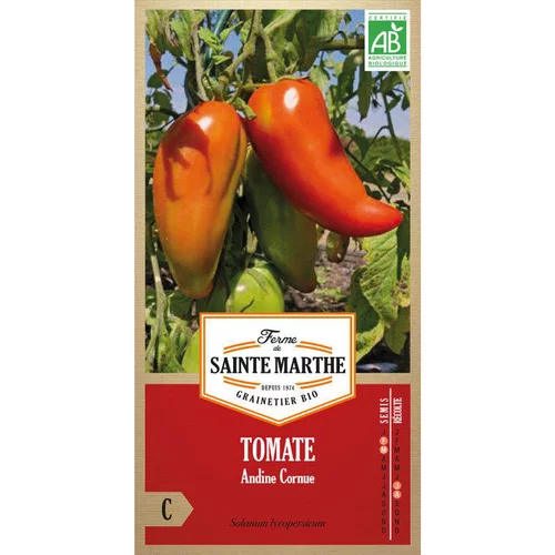 Graines de tomate andine cornue bio Ferme de Sainte Marthe - graines à semer