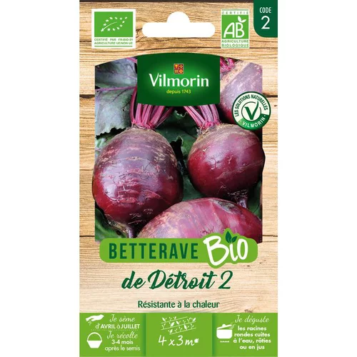 Graines de betterave de détroit 2 bio Vilmorin - graines à semer