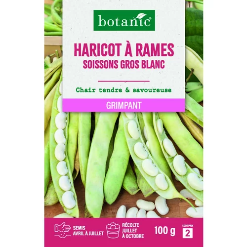 Graines d'haricot à rames soissons gros blanc botanic® - graines à semer