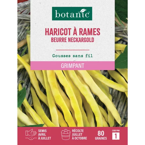 Graines d'haricot à rames beurre neckargold botanic® - graines à semer