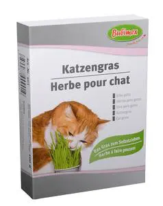 Herbe à chat Bubimex