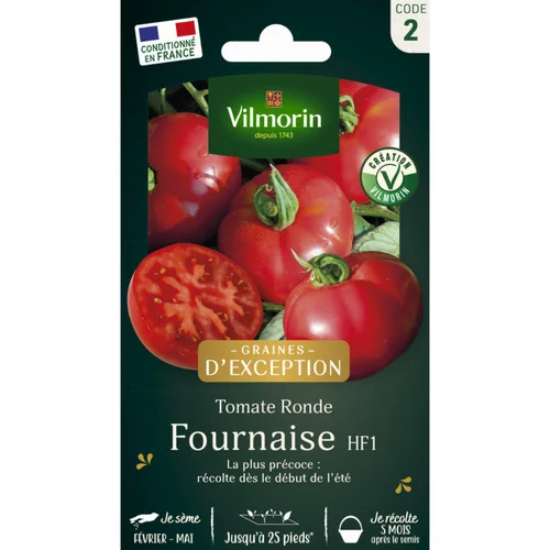 Sachet de semences potagères graines de tomate fournaise HF1 Graines d'Exception