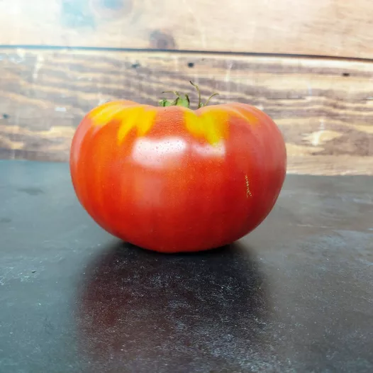 Semences biologiques et reproductibles de Tomate Grosse de Dordogne