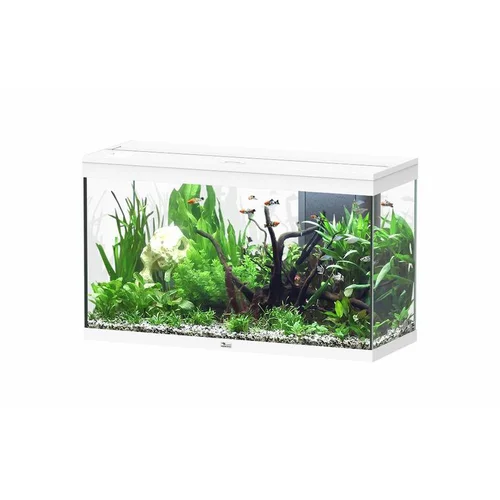 Aquarium 202 litres équipé LED 2.0 et filtre Aquatlantis Splendid blanc - 100 x 40 x 61 cm