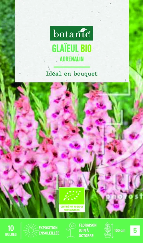 Bulbes de fleurs Glaïeul grandes fleurs Adrenaline bio botanic® - 10 bulbes