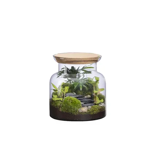 Terrarium autonome Jungle Landscape botanic® - taille S
