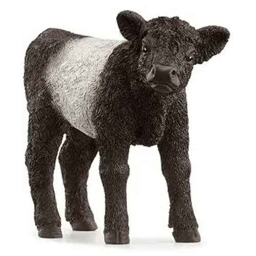 Figurine Veau Galloway Schleich