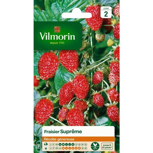 Fraisier Suprême Vilmorin - graines à semer