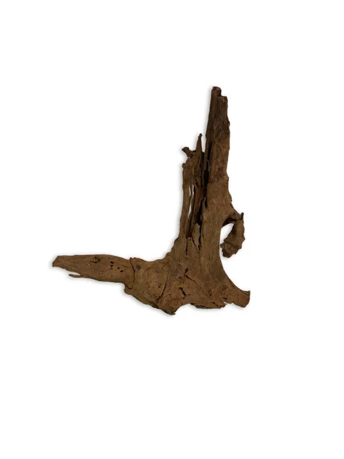 Décor pour aquarium coloris marron racine Malaisie Aquavie - Taille S