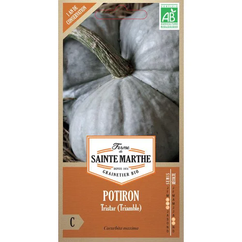 Graines de Potiron Tristar (Triamble) bio Ferme de Sainte Marthe - graines à semer