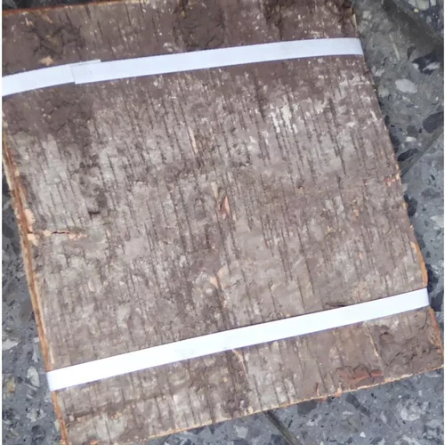 Plaques d'écorces de bouleau - Le paquet de 10