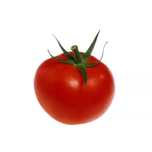 Tomate Monda | Graines bio et reproductibles