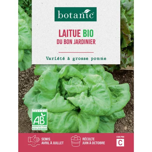 Graines de laitue du bon jardinier bio botanic® - graines à semer