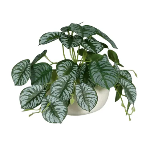 Calathéa vrille artificiel vert en pot céramique blanc - 19 cm