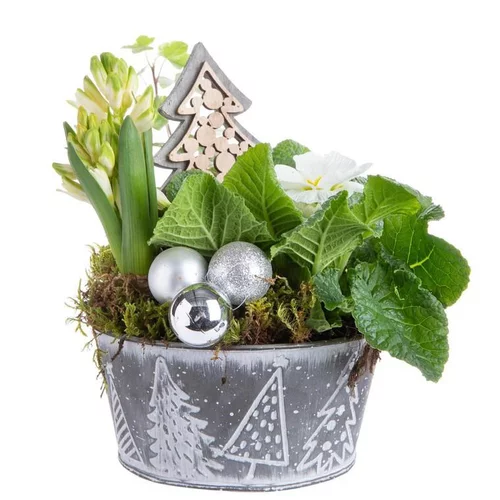 Composition de Noël sapins gris multicolore pot en zinc