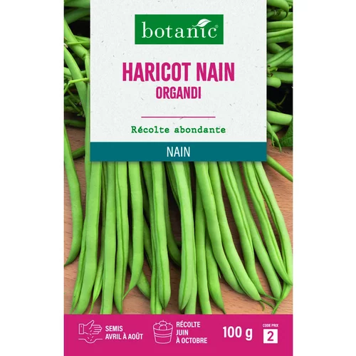 Graines de haricot nain organdi extra-fin sans fil botanic® - graines à semer 100 g