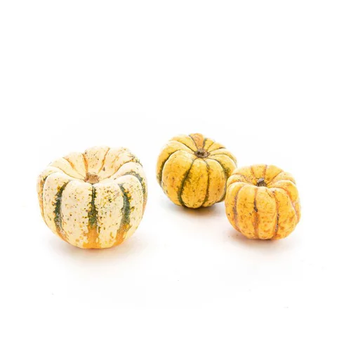 Courge Patidou bio de France - Prix au kg