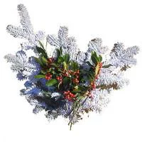Bouquet de branches de sapin enneigé et de houx vert, rouge et blanc pour décoration de Noël