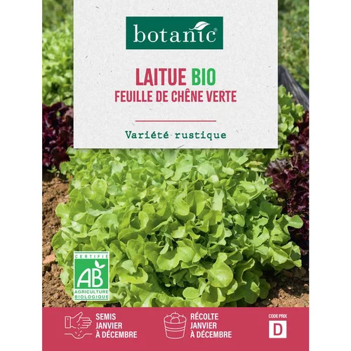 Graines de laitue feuille de chêne verte bio botanic® - graines à semer