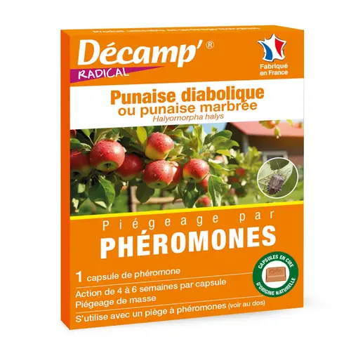 Phéromones contre les punaises diaboliques Decamp