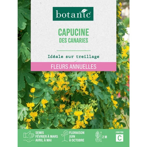 Graines de fleurs de Capucine des canaries botanic®