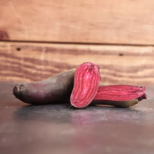 Biologische zaden van Rode biet Cylindra