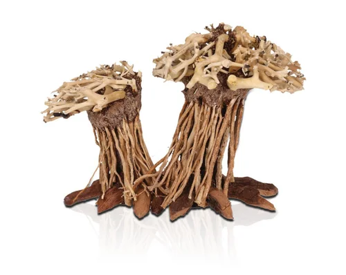 Décor pour aquarium coloris marron Aquavie Three Forêt Double PM - 12 x 12 x 15 cm