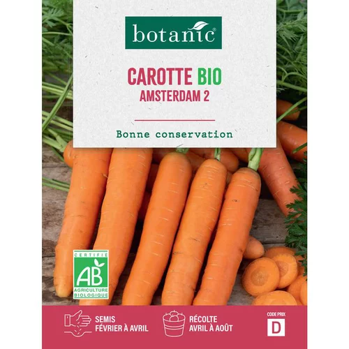 Graines de carotte Amsterdam 2 bio botanic® - graines à semer