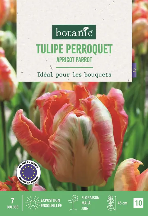 Bulbes de fleurs Tulipe perroquet Apricot Parrot rose et abricot botanic® - 7 bulbes