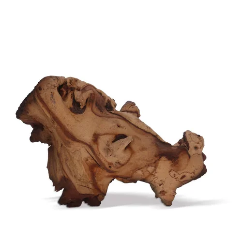Racine décorative pour aquarium ou terrarium coloris marron Aquavie Mopani - Taille PM+