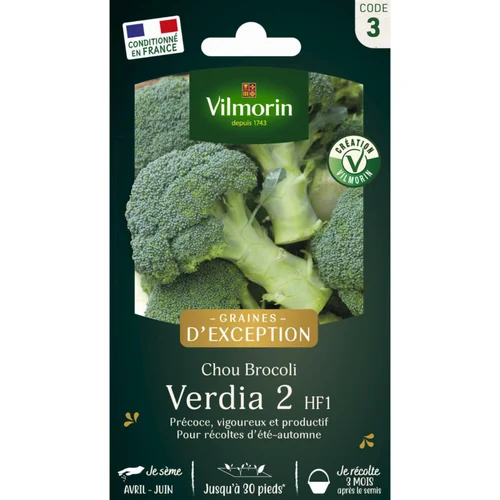 Sachet de semences potagères de graines de chou Brocoli Verdia 2 HF1 Graines d'Exception