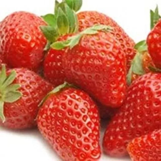 Fraisier Mme Moutot - 25 plants - calibre A