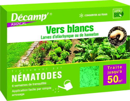 Nématodes contre vers blancs 50 m2