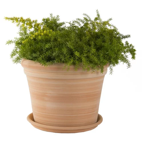 Pot gamme Cocio bordo Ø 26 cm