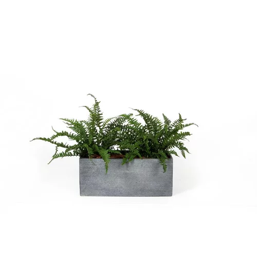 Bac rectangle Stream S/3 anthracite H.23 cm
