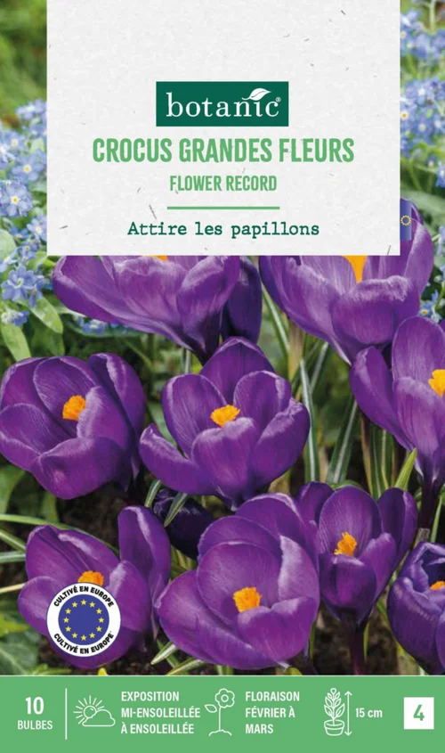 Crocus en mélange botanic® - 10 bulbes