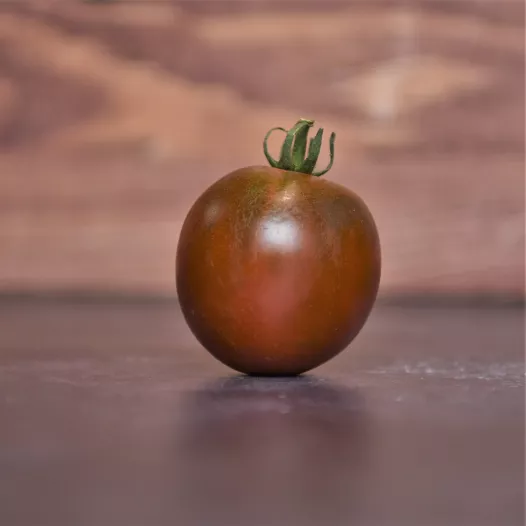 Semences biologiques de Tomate Black Prince