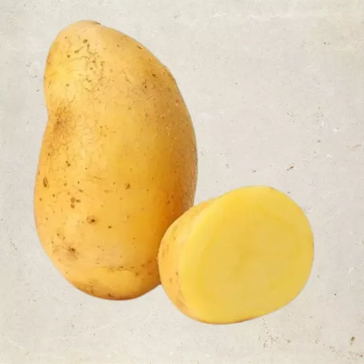 Biologische pootgoed - Aardappel Nicola - 5KG
