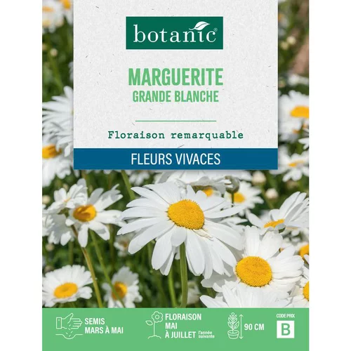 Graines de grande marguerite blanche botanic® - graines à semer