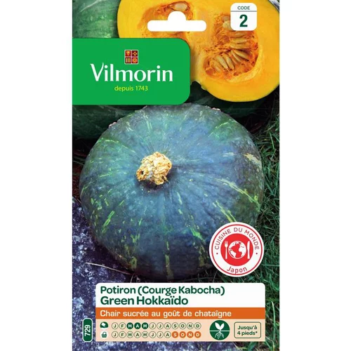 Graines de courge Kabocha green Hokkaïdo Vilmorin - graines à semer