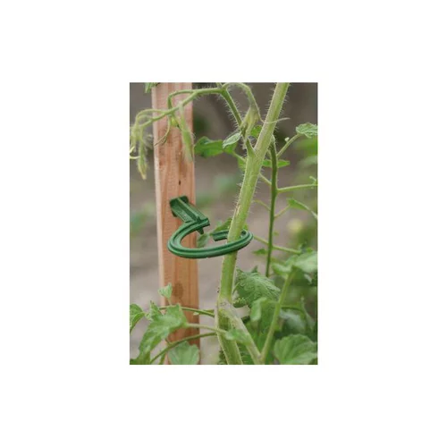 Lot de 6 attaches pour tuteur – couleur vert