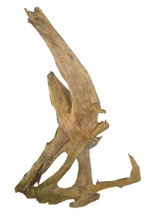 Racine pour aquarium coloris marron Aquavie Malaisie - Taille sm 26 à 32 cm