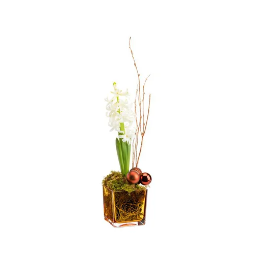 Jacinthe en verrerie bronze