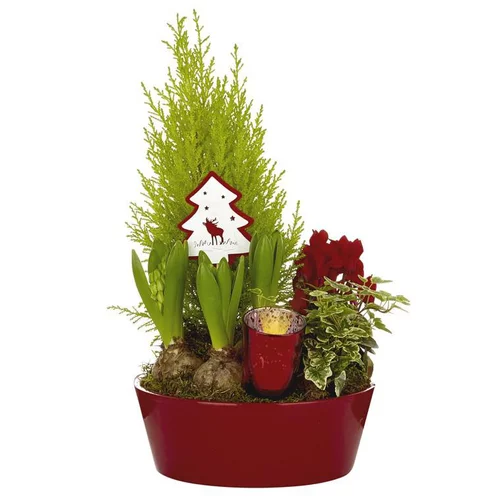Composition festive en coupe zinc rouge - La composition
