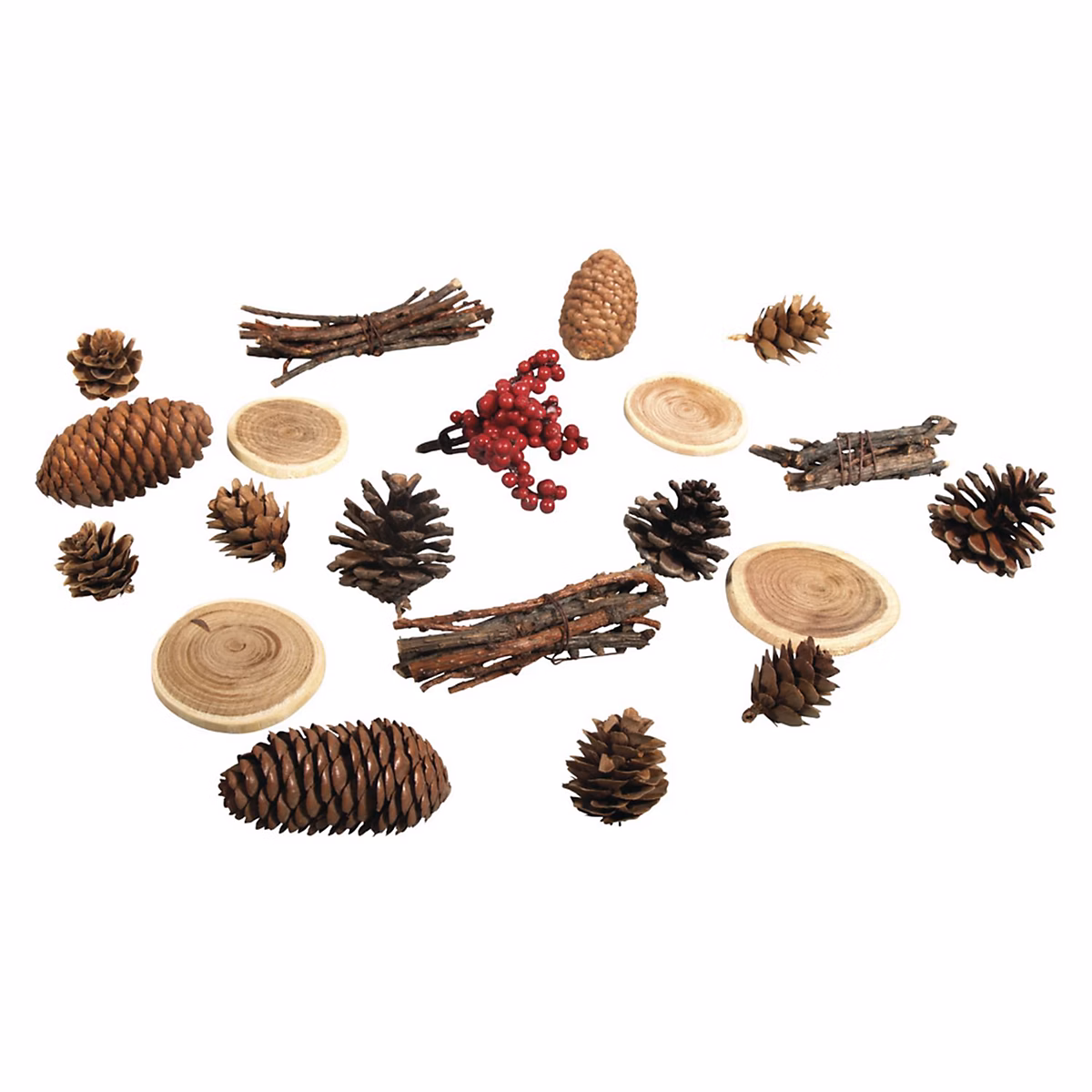 Décorations naturelles automne et Noël – 20 Cônes, bois et baies