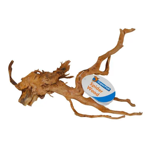 Racine-araignée de taille small 20 à 30 cm