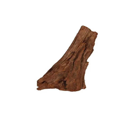 Racine Mangrove naturelle pour aquarium